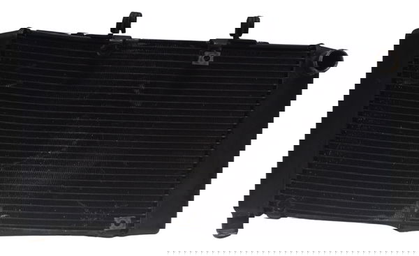 Radiador C/ Detalhes Honda Cb 600f Hornet 08-11 Original