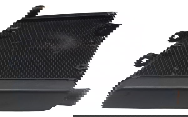 Radiador C/ Detalhes Honda Cb 600f Hornet 08-11 Original