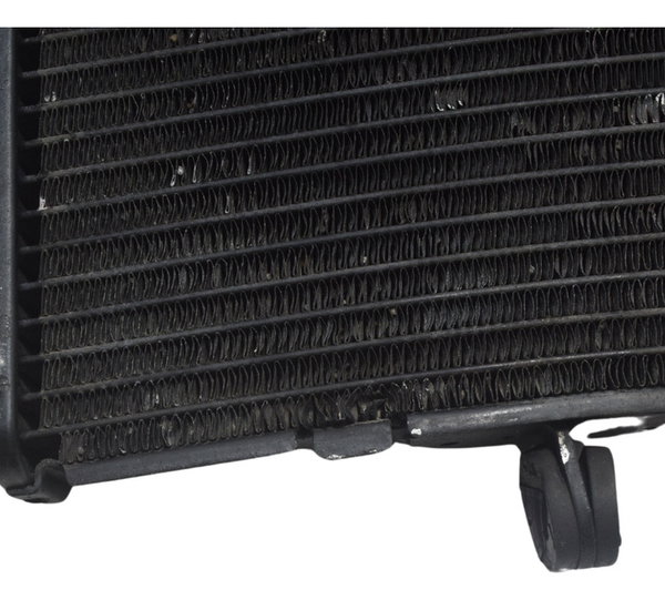 Radiador C/ Detalhes Honda Cb 600f Hornet 08-11 Original