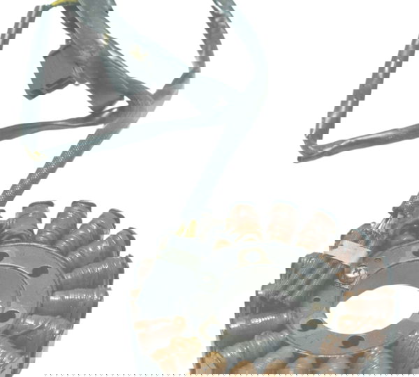 Estator Honda Cb 600f Hornet 08-11 Original