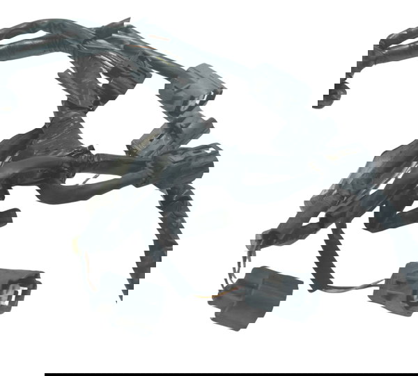 Chicote Injeção Honda Cb 600f Hornet 08-11 Original