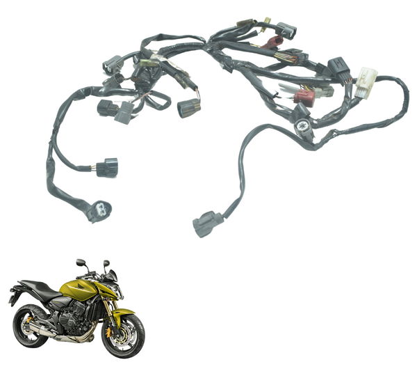 Chicote Injeção Honda Cb 600f Hornet 08-11 Original