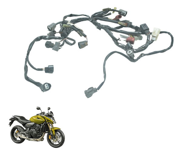 Chicote Injeção Honda Cb 600f Hornet 08-11 Original