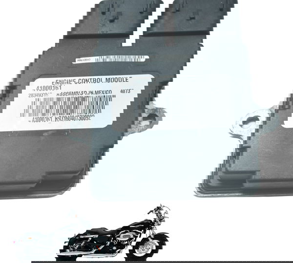 Modulo Ecm Harley Xl 1200 Cb 14-16 Original
