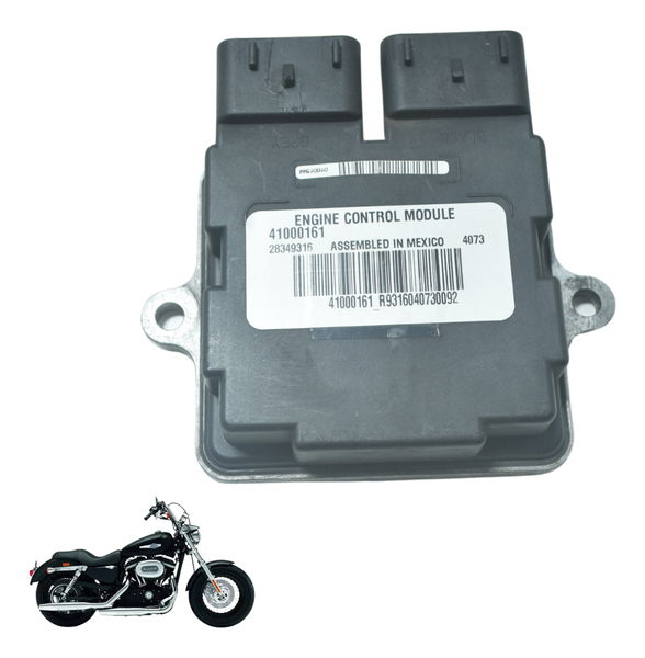Modulo Ecm Harley Xl 1200 Cb 14-16 Original