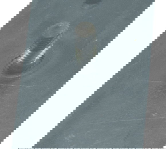 Refletor Olho De Gato Honda Cb 600f Hornet 08-11 Original