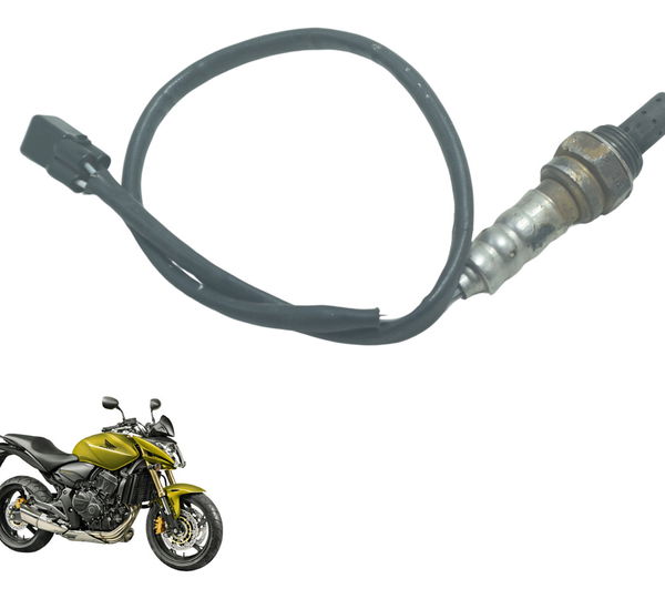 Sonda Lambda Honda Cb 600f Hornet 08-11 Original