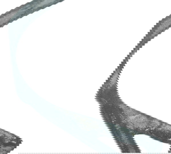 Guia Tampa Pinhão Honda Cb 600f Hornet 08-11 Original