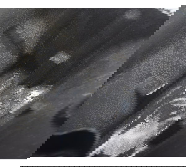 Tampa Carter C/ Detalhes Honda Cb 600f Hornet 08-11 Original