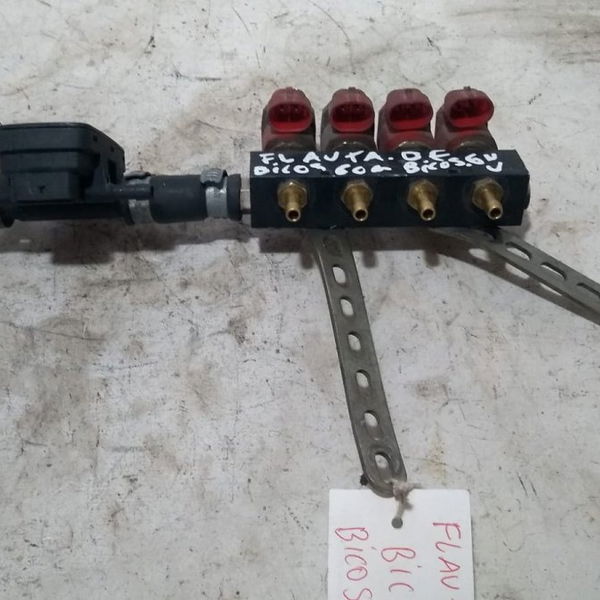 Flauta Com Bicos Gnv 