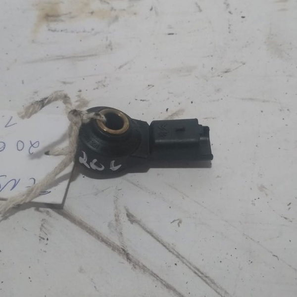 Sensor Detonação Peugeot 206 2005
