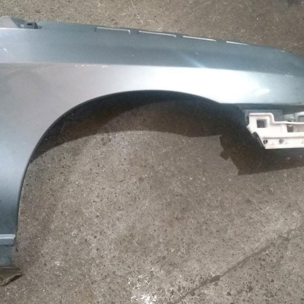 Para Lama Dianteiro Direito Renault Clio 1999
