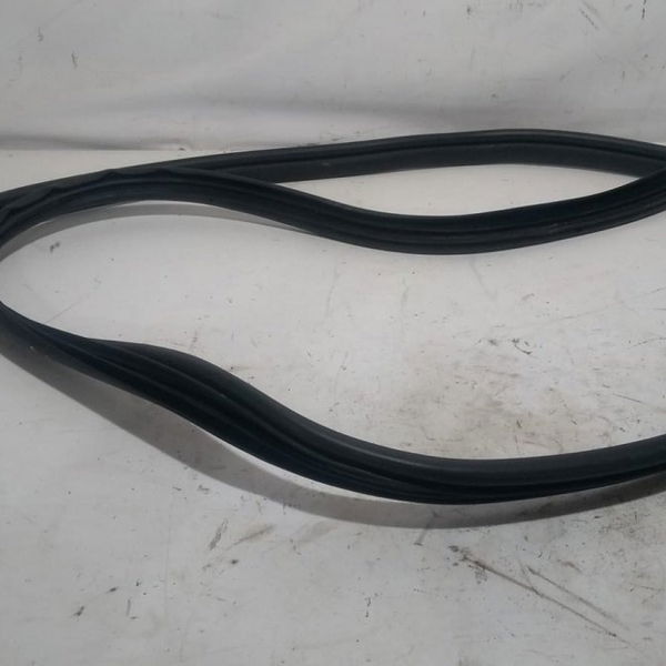 Borracha Porta Traseira Direita Renault Clio 2007