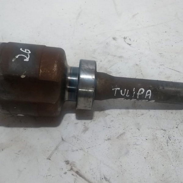 Tulipa Duster 2.0 At 26 Estrias 2016
