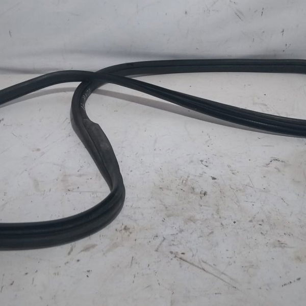 Borracha Porta Traseira Direita Renault Clio 2002