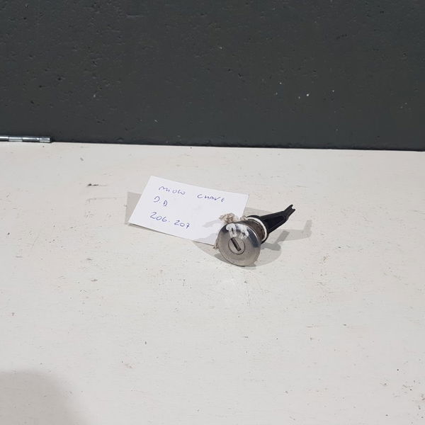 Cilindro Miolo Chave Porta Dianteira Esquerda Peugeot 206