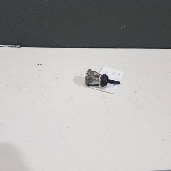 Cilindro Miolo Chave Porta Dianteira Esquerda Peugeot 206