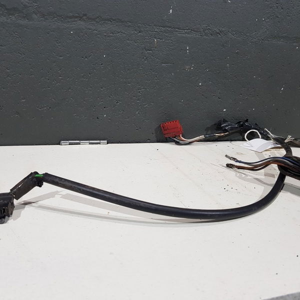 Chicote Porta Lado Direito Renault Kangoo 2001