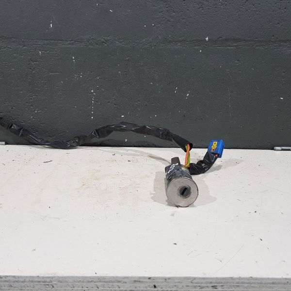 Cilindro Miolo Ignição Peugeot 207 Sw Com Chave