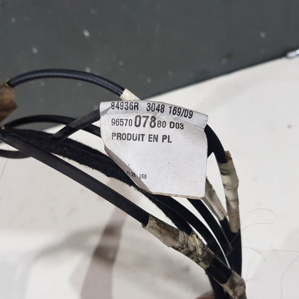 Chicote Antena Radio Citroen C4 Picasso 2010