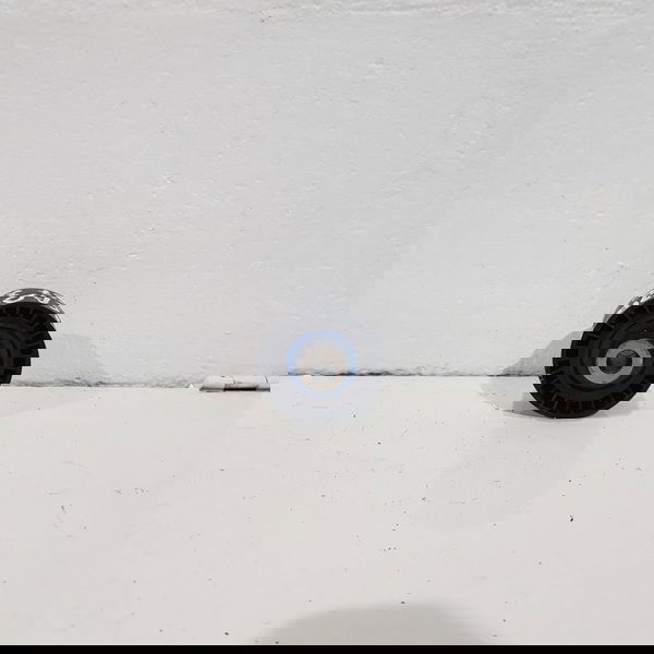 Polia Correia Motor Peugeot 307 2.0 16v 2010