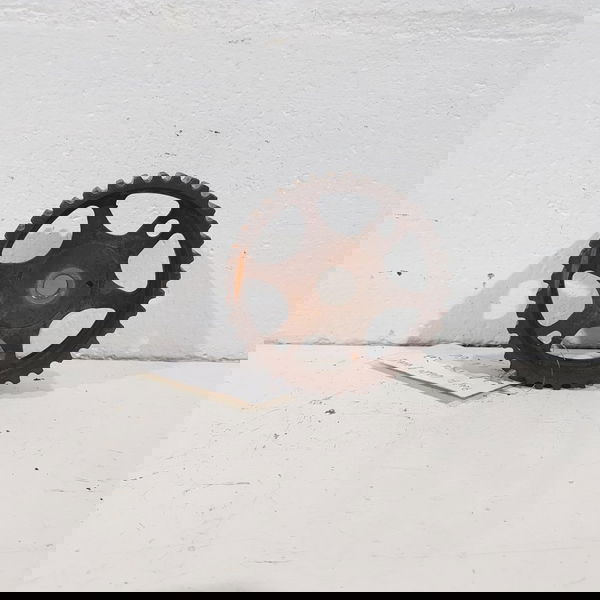 Polia Comando Valvulas Motor Peugeot 207 1.6 16v