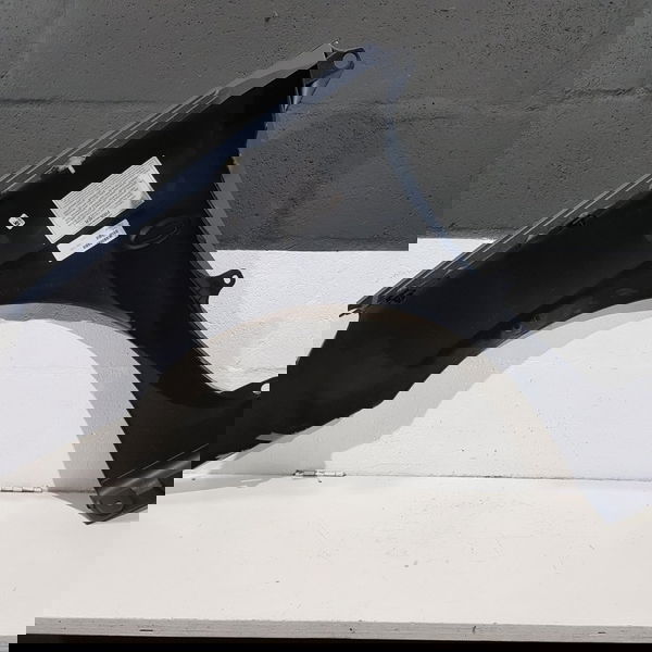 Para Lama Dianteiro Direito Peugeot 307 2007 2012 Primer Cin