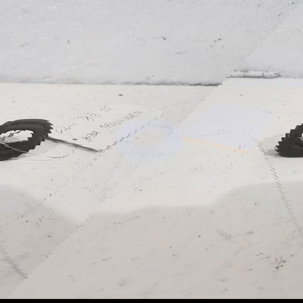 Acabamento Pino Trava Porta Renault Clio 99 Argentino