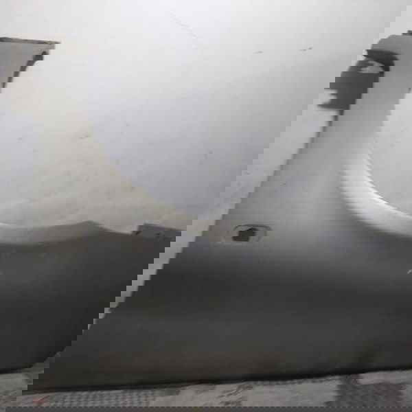 Para Lama Dianteiro Esquerdo Renault Clio 2007 Com Detalhe