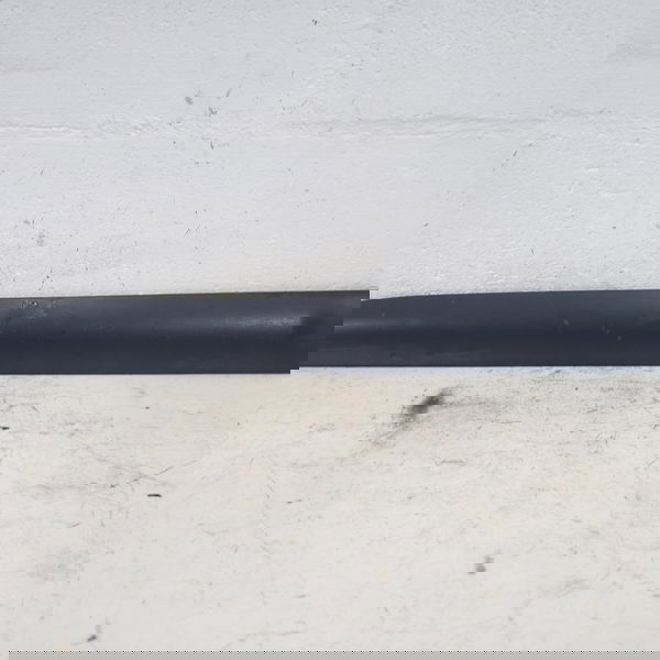 Friso Porta Traseira Esquerda Renault Clio 2001