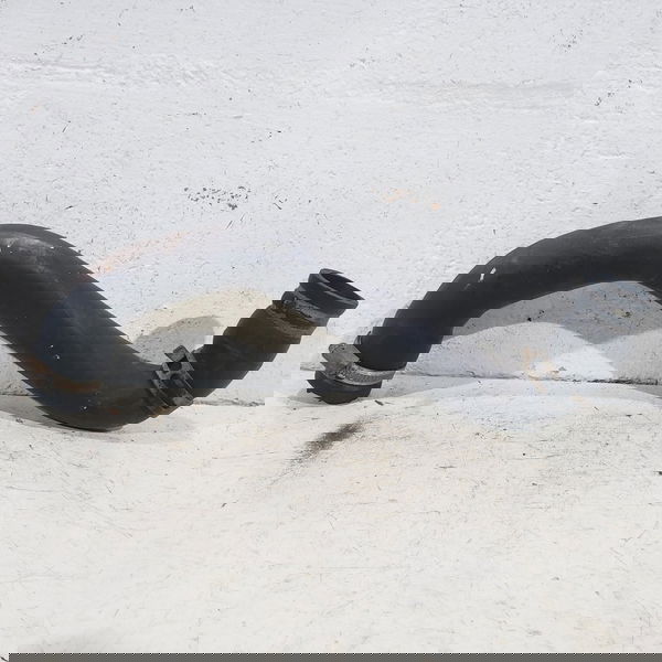 Mangueira Inferior Radiador Renault Kangoo 1.6 16v 2010