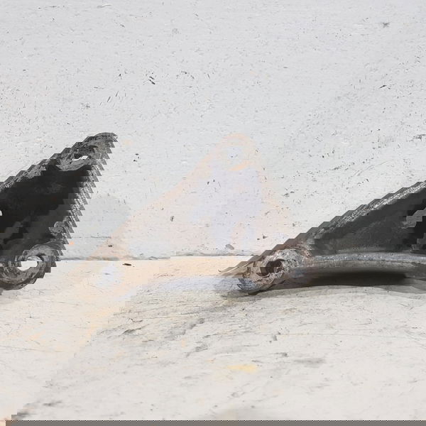 Suporte Eixo Traseiro Esquerdo Peugeot 406 2001 2.0 16v