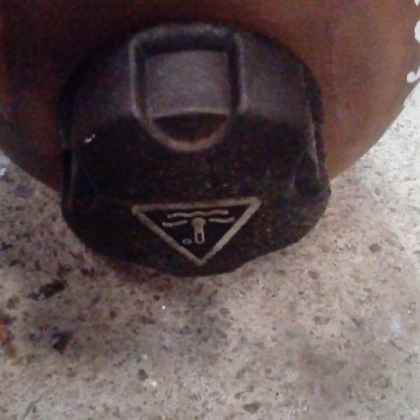 Reservatorio De Agua Peugeot 206 Sw 1.6 16v 2006