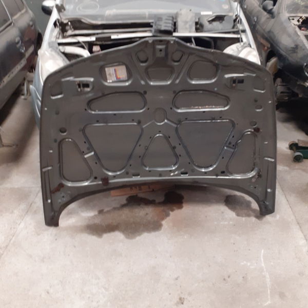 Capo Renault Laguna