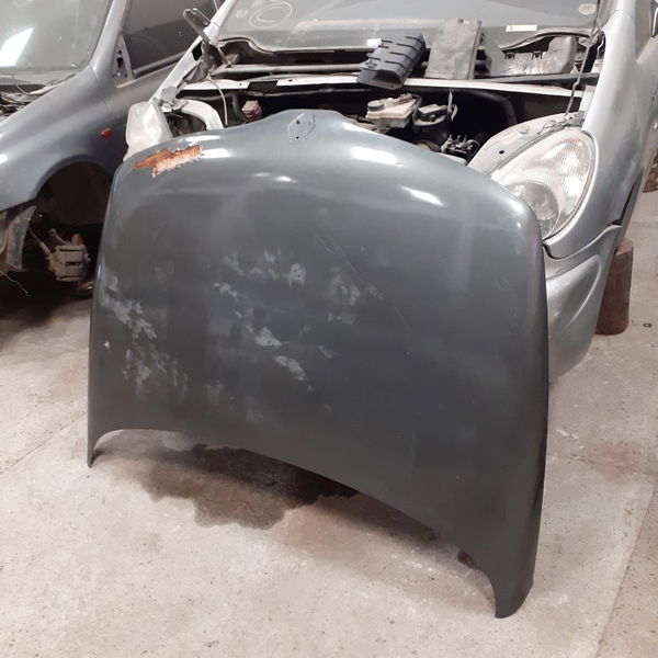 Capo Renault Laguna
