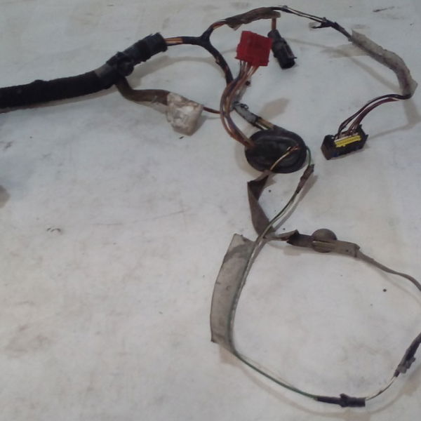 Chicote De Porta Dianteira Direita Renault Megane 03/05