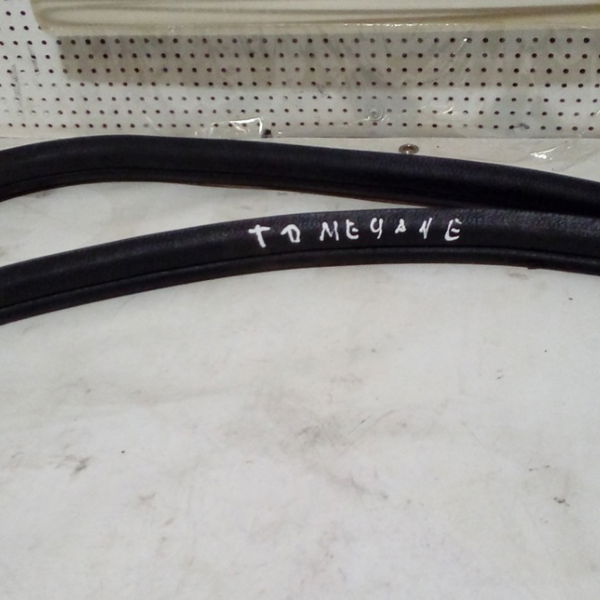 Borracha Porta Traseira Direita Renault Megane 03/05