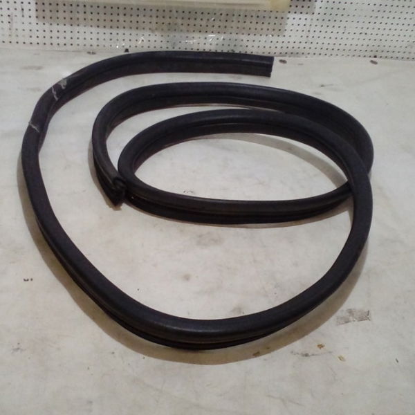 Borracha Porta Traseira Esquerda Renault Megane 03/05