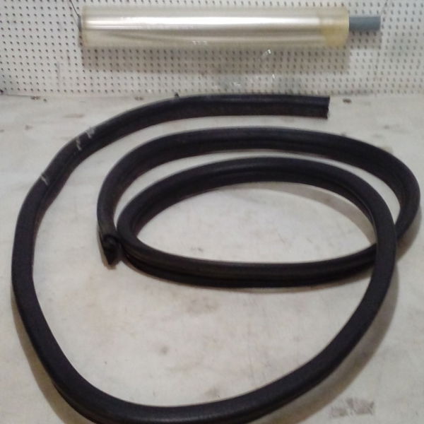 Borracha Porta Traseira Esquerda Renault Megane 03/05