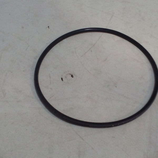 Anel Vedação Porca Rosca Tanque Renault Megane 2003/2005