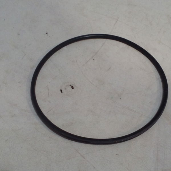 Anel Vedação Porca Rosca Tanque Renault Megane 2003/2005