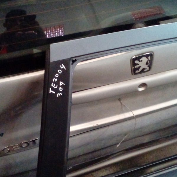 Porta Traseiro Esquerda Peugeot 307