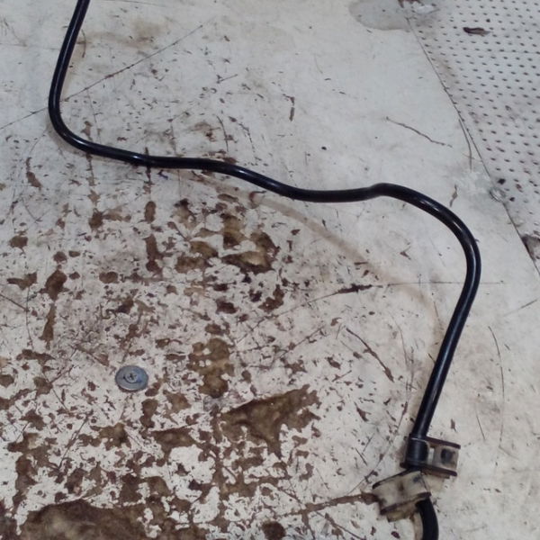 Mangueira Valvula Canister Peugeot 206 1.6 2004