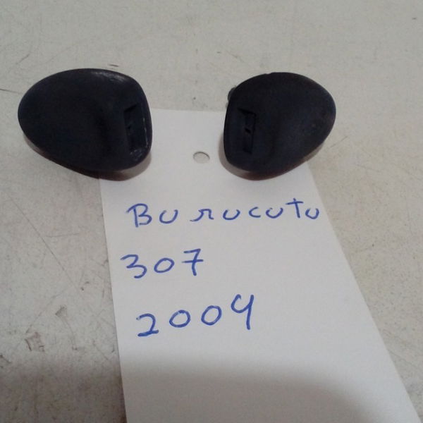 Brucutu Peugeot 307 *unidade