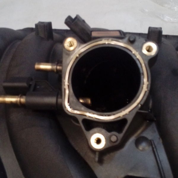 Coletor Admissão Peugeot 307 2.0 16v