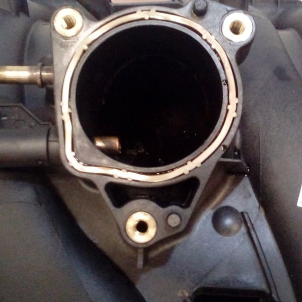 Coletor Admissão Peugeot 307 2.0 16v