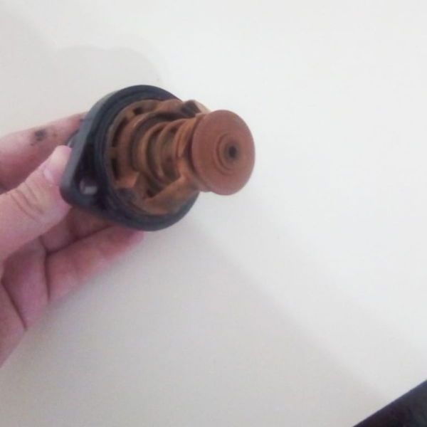 Valvula Termostatica Peugeot 307 2.0 16v 