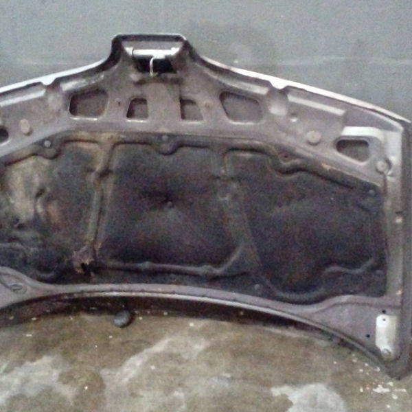 Capo Dianteiro Renault Scenic 2000
