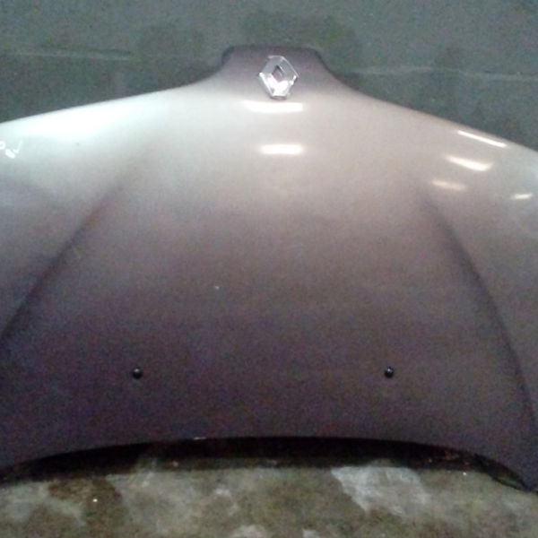 Capo Dianteiro Renault Scenic 2000