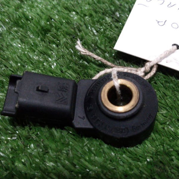 Sensor De Detonação Peugeot Citroen 1.6 16 Válvulas